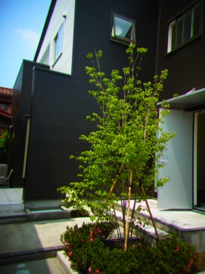 RIMG0758.JPG
