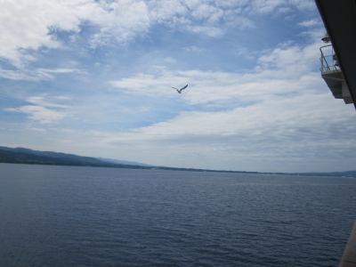 IMG_3334.JPG